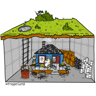 #13 Alan Carr, slam dunking NFTs for the NBA