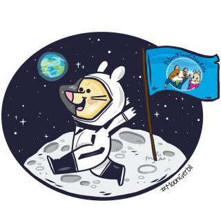 #15 $WHALE of a time with Whaleshark