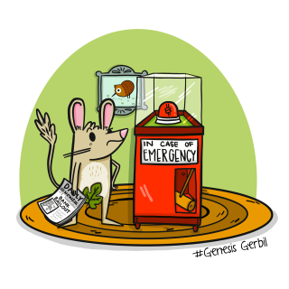 #2 Jake Brukhman, Art & the Instagram of NFTs