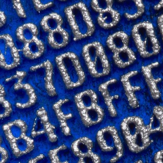 #21 Robert Alice, Portraits of a Mind