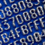 #21 Robert Alice, Portraits of a Mind